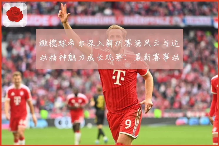 橄榄球希尔深入解析赛场风云与运动精神魅力成长观察：最新赛事动态与深度分析